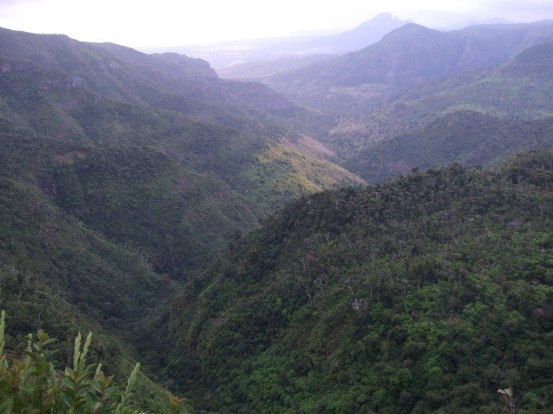 Mauritius 2010 - 0353 